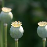 Betfair中文社区:分享经验与策略的最佳场所 6xxhx58