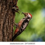 bwin亚洲娱乐的热门游戏推荐:让你尽享刺激与欢乐 a0709