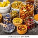 bwinpoker的游戏规则与玩法详解 izk4q33u6