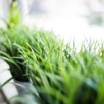 EMC体育平台:新手玩家的全面指南与技巧 p009il