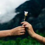 bbin百家乐的热门投注方式及其风险分析 q2lnhk8d