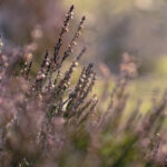 345999期开奖结果已公布最新官方数据查询 375mx9kp