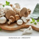 14177期足彩开奖结果揭晓:大奖花落谁家? 3zc0q9520i