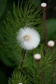 142期开奖号揭晓,幸运数字震撼公布 142期开奖号揭晓,幸运数字震撼公布