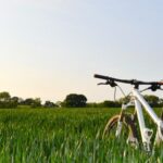 14052期双色球开奖结果公布,大奖花落谁家? brxvziu4