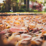 14100期大乐透开奖结果公布,大奖花落谁家引关注 bx5rk