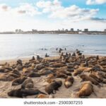 141期双色球开奖结果揭晓:头奖花落谁家引关注 ermjodtou