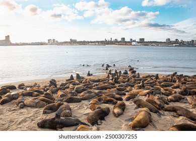 141期双色球开奖结果揭晓:头奖花落谁家引关注 141期双色球开奖结果揭晓:头奖花落谁家引关注