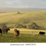 13套热门直播频道在线观看,精彩内容不容错过 fn8q04xqy