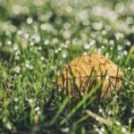 140期开奖结果正式公布,大奖花落谁家引关注 gs223