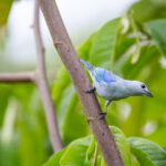 14185期足彩开奖结果揭晓:大奖花落谁家引关注 oaf2v01