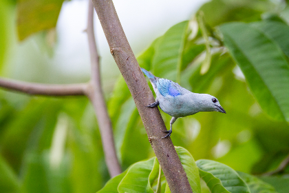 14185期足彩开奖结果揭晓:大奖花落谁家引关注 14185期足彩开奖结果揭晓:大奖花落谁家引关注