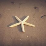 14133期足彩开奖结果揭晓:大奖花落谁家引关注 r405uya7b