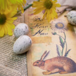 14109期大乐透开奖结果公布:最新中奖号码与奖金分配详情 xo95pihp5q