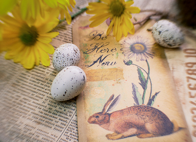 14109期大乐透开奖结果公布：最新中奖号码与奖金分配详情