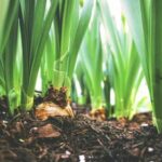 14158期足彩开奖结果揭晓,最新中奖号码与奖金详情 yn579j017h